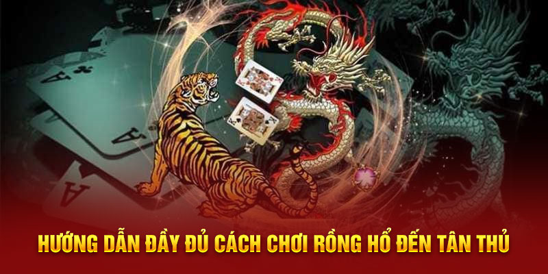 Hướng dẫn đầy đủ cách chơi Rồng Hổ đến tân thủ