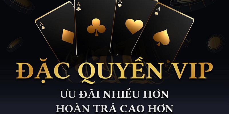 Thành viên VIP New88 nhận được nhiều đặc quyền hấp dẫn