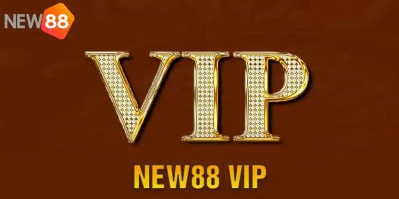 5 lưu ý cần biết khi tham gia VIP New88