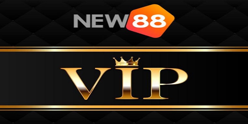 VIP New88